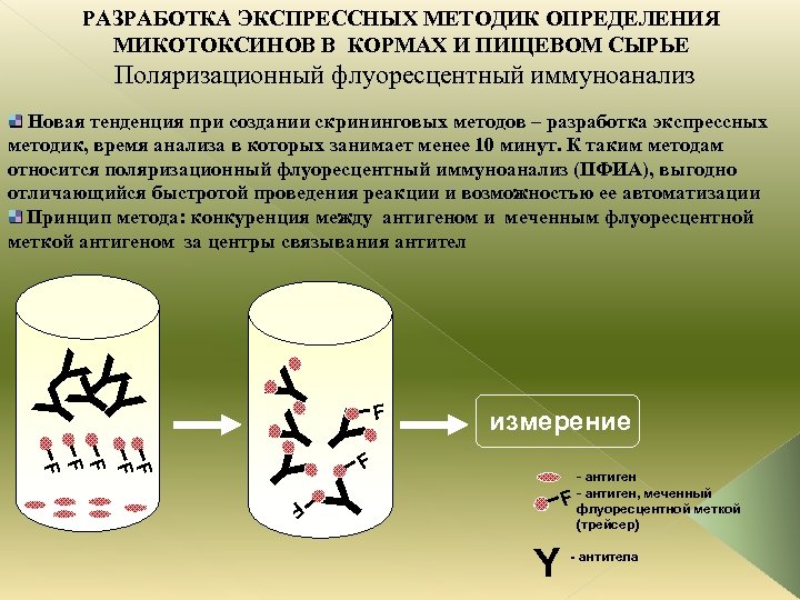 РАЗРАБОТКА ЭКСПРЕССНЫХ МЕТОДИК ОПРЕДЕЛЕНИЯ МИКОТОКСИНОВ В КОРМАХ И ПИЩЕВОМ СЫРЬЕ Поляризационный флуоресцентный иммуноанализ Y
