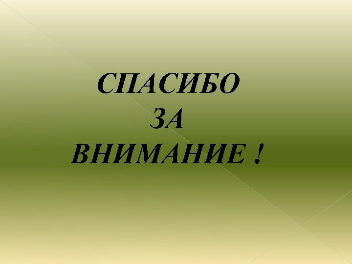 СПАСИБО ЗА ВНИМАНИЕ ! 