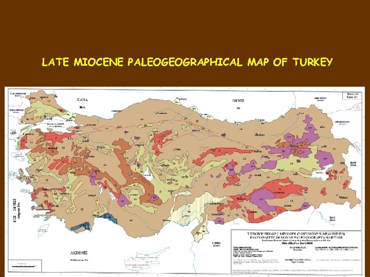 LATE MIOCENE PALEOGEOGRAPHICAL MAP OF TURKEY 