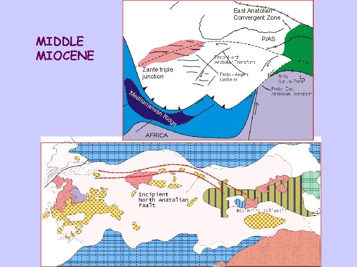 MIDDLE MIOCENE 