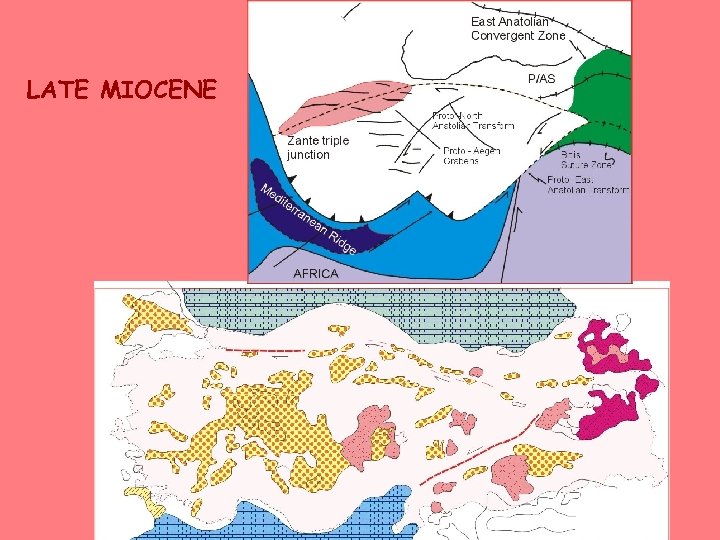 LATE MIOCENE 