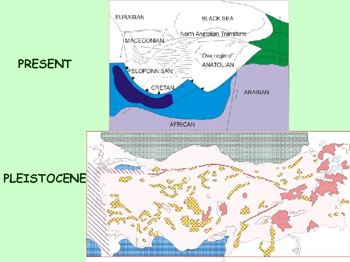 PRESENT PLEISTOCENE 