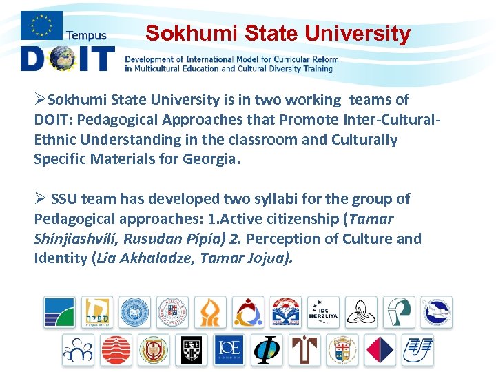 Sokhumi State University ØSokhumi State University is in two working teams of DOIT: Pedagogical