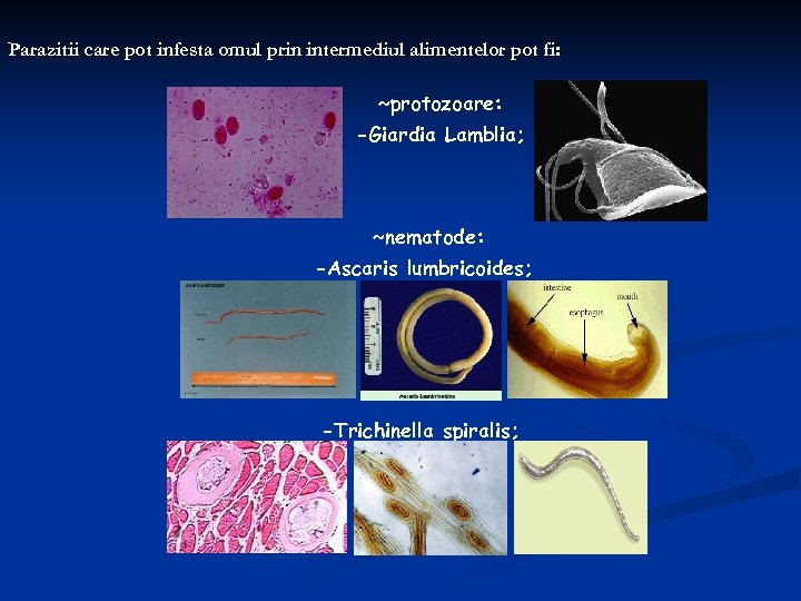 Parazitii care pot infesta omul prin intermediul alimentelor pot fi: ~protozoare: -Giardia Lamblia; ~nematode: