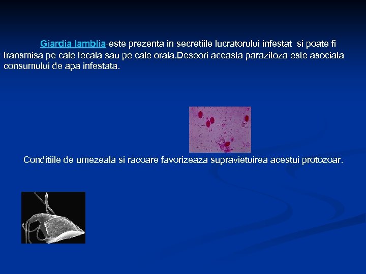 Giardia lamblia-este prezenta in secretiile lucratorului infestat si poate fi transmisa pe cale fecala