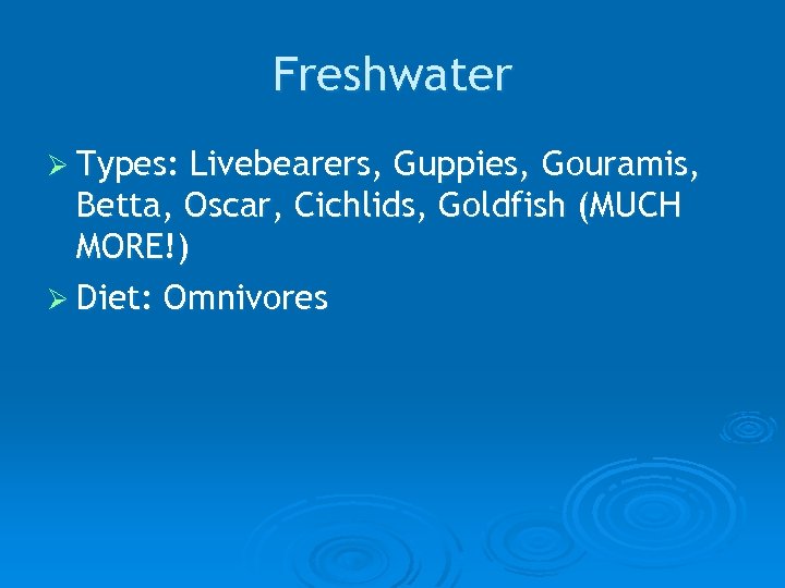 Freshwater Ø Types: Livebearers, Guppies, Gouramis, Betta, Oscar, Cichlids, Goldfish (MUCH MORE!) Ø Diet: