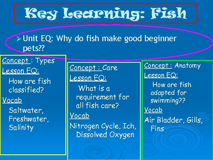Key Learning: Fish Ø Unit EQ: Why do fish make good beginner pets? ?