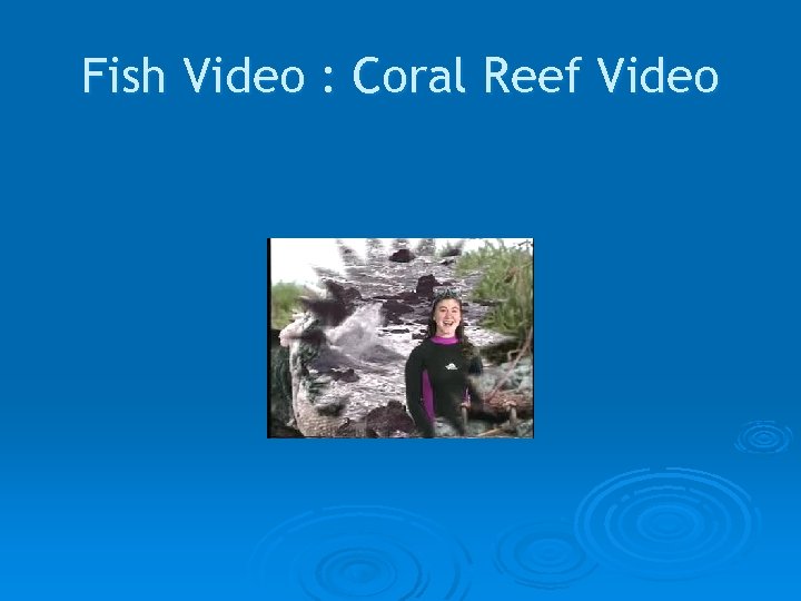Fish Video : Coral Reef Video 
