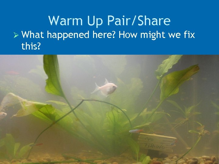 Warm Up Pair/Share Ø What this? happened here? How might we fix 