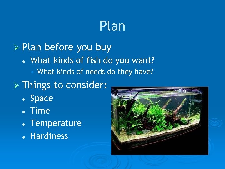 Plan Ø Plan l before you buy What kinds of fish do you want?