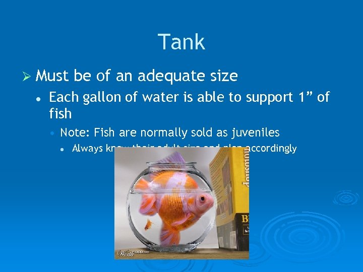 Tank Ø Must l be of an adequate size Each gallon of water is