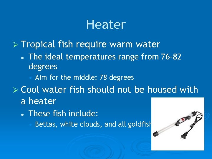 Heater Ø Tropical l fish require warm water The ideal temperatures range from 76