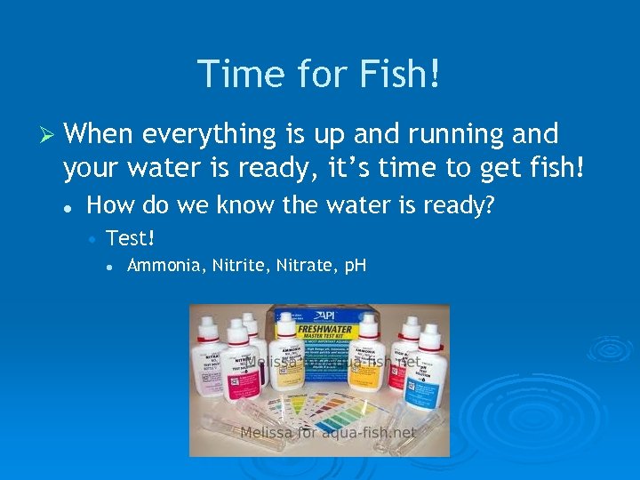 Time for Fish! Ø When everything is up and running and your water is