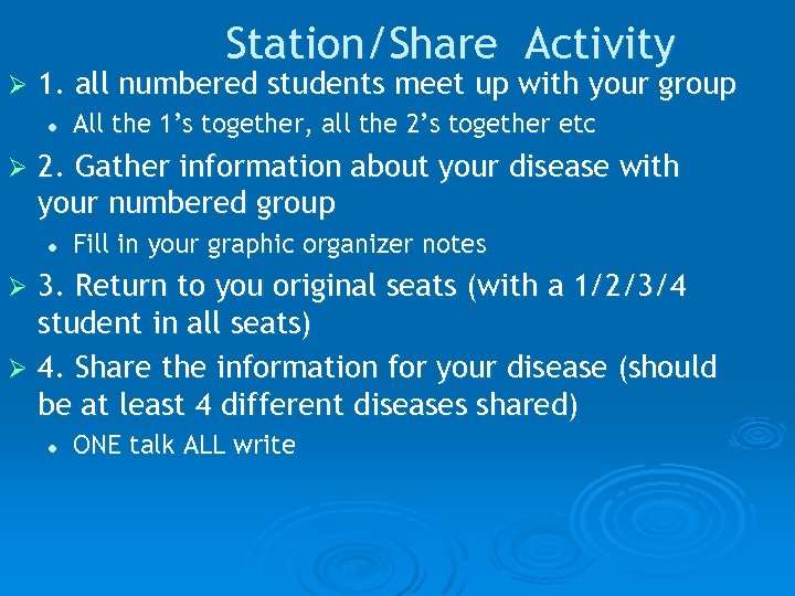 Station/Share Activity Ø 1. all numbered students meet up with your group l Ø