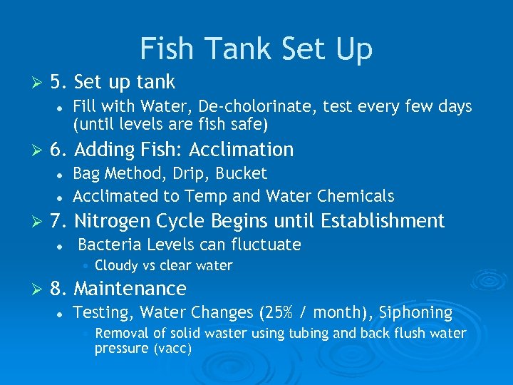 Fish Tank Set Up Ø 5. Set up tank l Ø 6. Adding Fish: