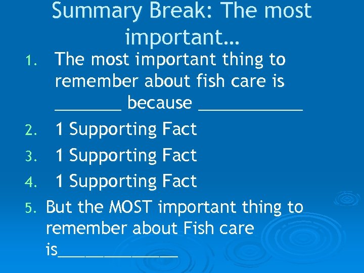 Summary Break: The most important… The most important thing to remember about fish care