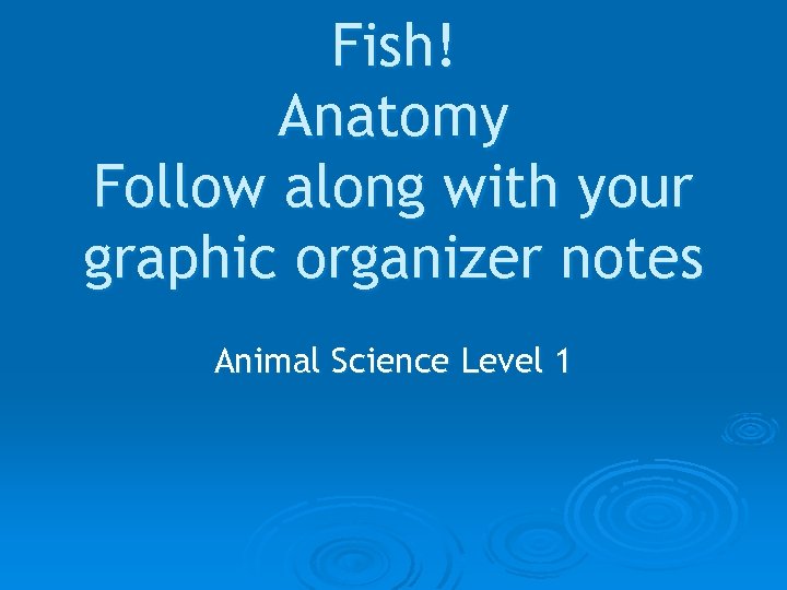 Fish! Anatomy Follow along with your graphic organizer notes Animal Science Level 1 
