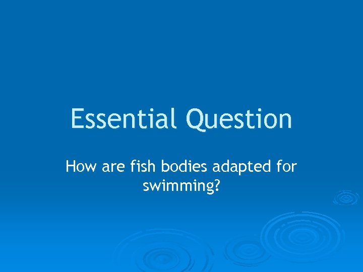 Essential Question How are fish bodies adapted for swimming? 