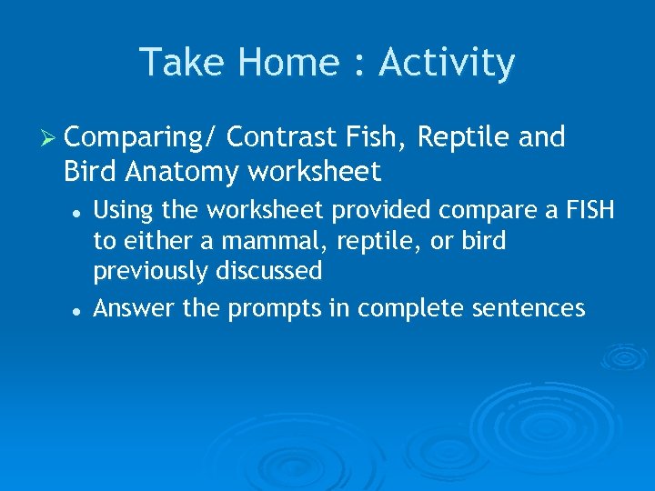 Take Home : Activity Ø Comparing/ Contrast Fish, Reptile and Bird Anatomy worksheet l
