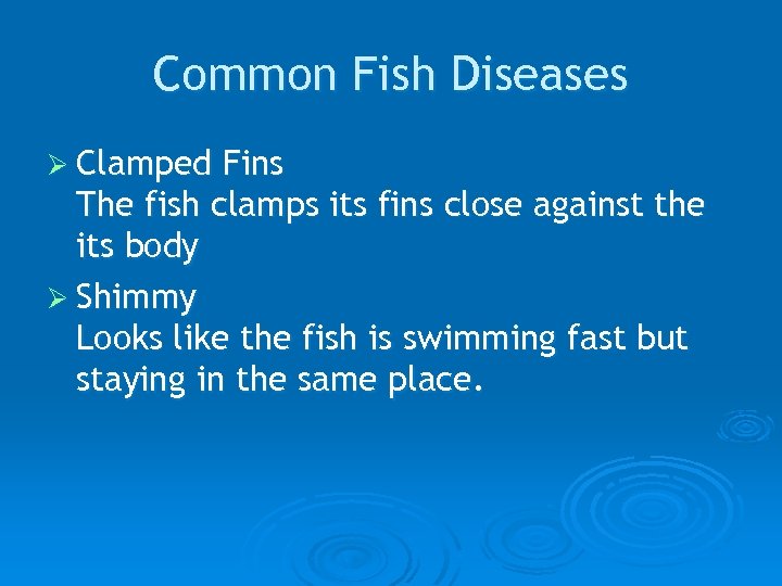 Common Fish Diseases Ø Clamped Fins The fish clamps its fins close against the