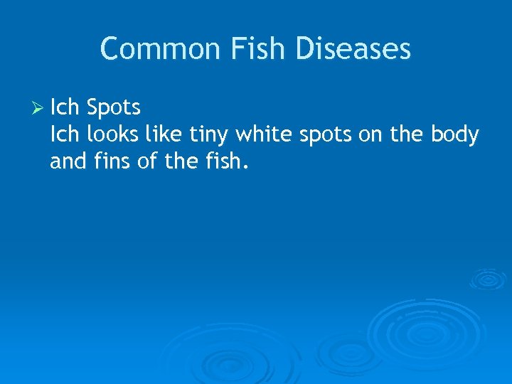 Common Fish Diseases Ø Ich Spots Ich looks like tiny white spots on the