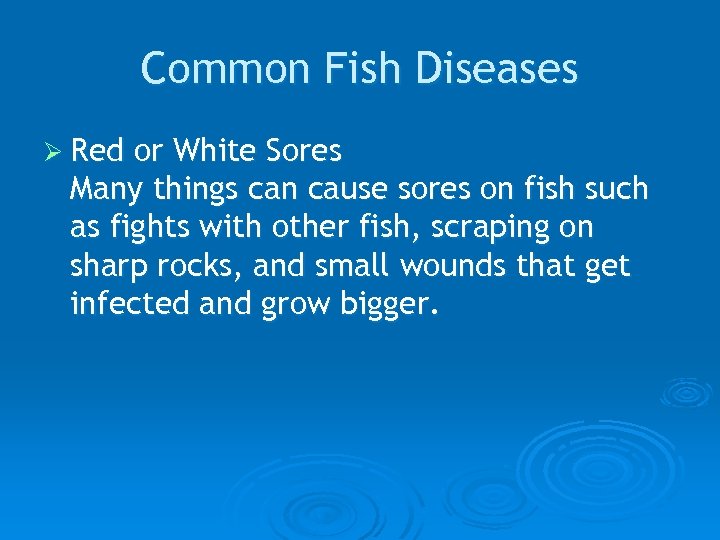 Common Fish Diseases Ø Red or White Sores Many things can cause sores on