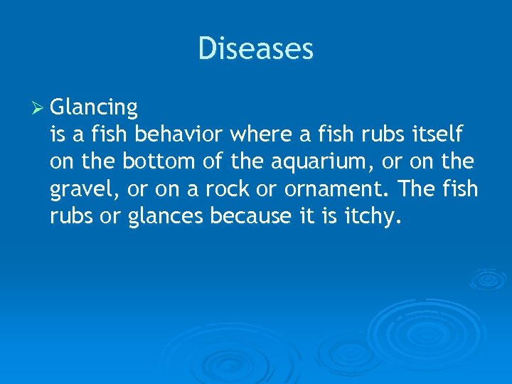 Diseases Ø Glancing is a fish behavior where a fish rubs itself on the