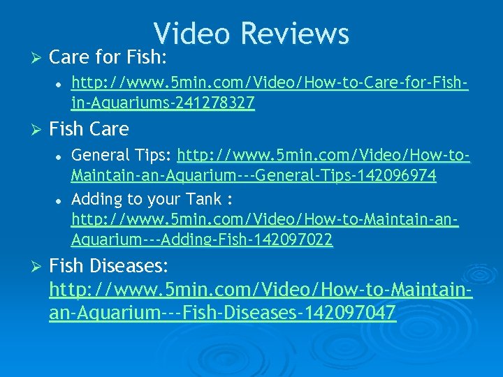 Ø Video Reviews Care for Fish: l Ø Fish Care l l Ø http: