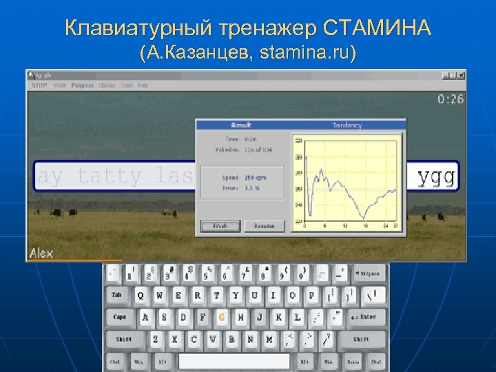 Клавиатурный тренажер СТАМИНА (А. Казанцев, stamina. ru) 