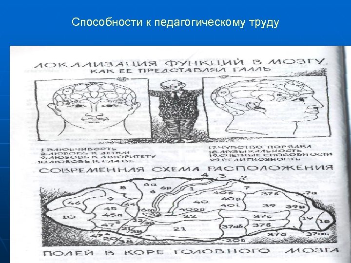 Способности к педагогическому труду 