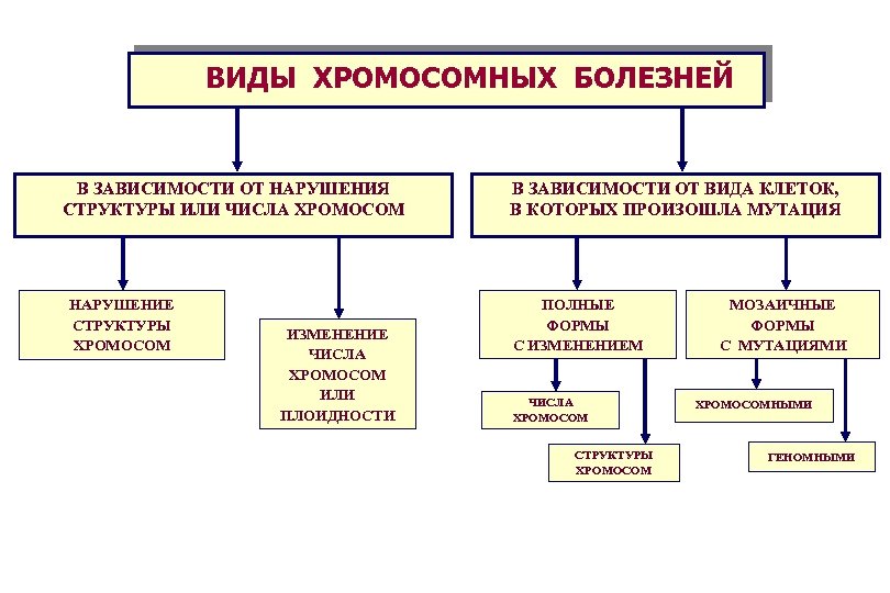 Какие виды хромосомных мутаций изображены на рисунке