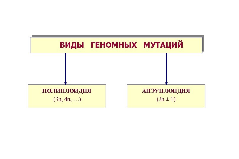 Схема виды мутаций 10 класс