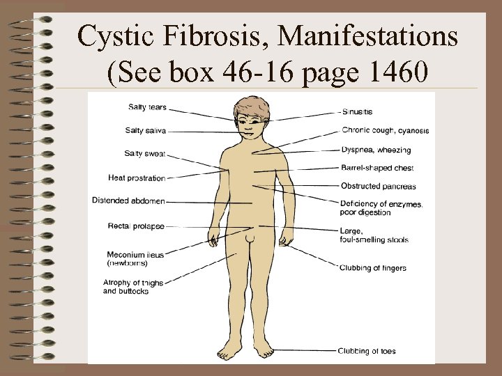 Cystic Fibrosis, Manifestations (See box 46 -16 page 1460 