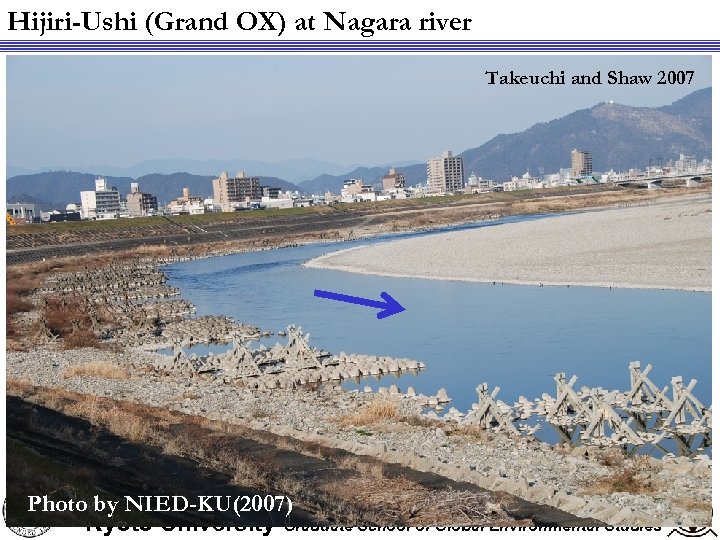 Hijiri-Ushi (Grand OX) at Nagara river Takeuchi and Shaw 2007 Photo by NIED-KU(2007) Kyoto