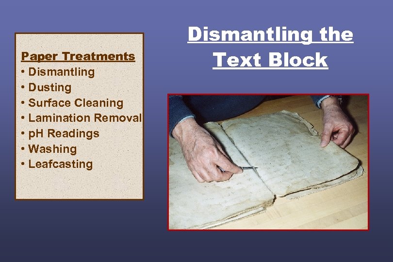 Paper Treatments • Dismantling • Dusting • Surface Cleaning • Lamination Removal • p.