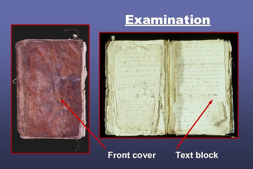 Examination Front cover Text block 