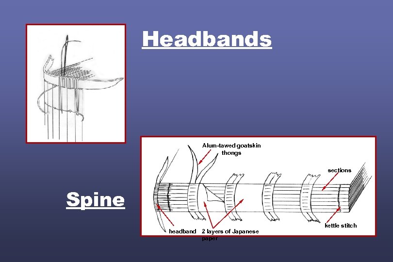 Headbands Alum-tawed goatskin thongs sections Spine headband 2 layers of Japanese paper kettle stitch