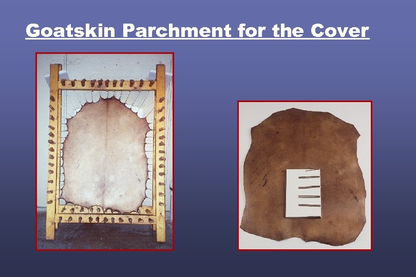 Goatskin Parchment for the Cover 