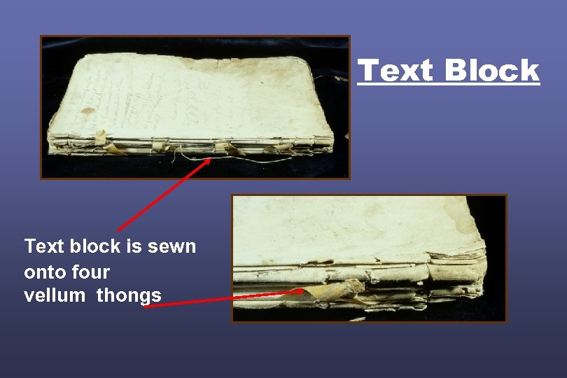 Text Block Text block is sewn onto four vellum thongs 