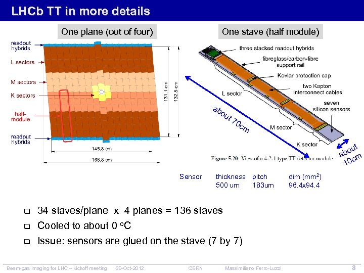 LHCb TT in more details One plane (out of four) One stave (half module)