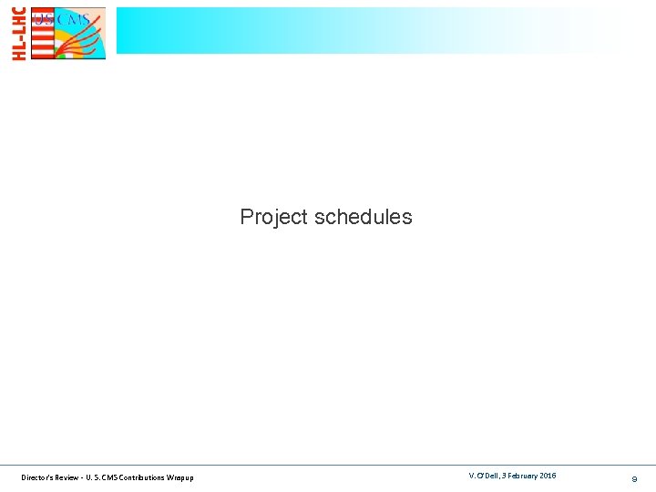 Project schedules Director's Review - U. S. CMS Contributions Wrapup V. O'Dell, 3 February