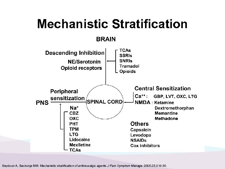 Mechanistic Stratification Beydoun A, Backonja MM. Mechanistic stratification of antineuralgic agents. J Pain Symptom