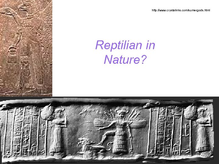 http: //www. crystalinks. com/sumergods. html Reptilian in Nature? 