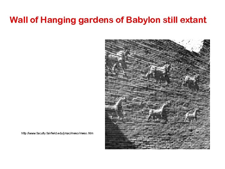 Wall of Hanging gardens of Babylon still extant http: //www. faculty. fairfield. edu/jmac/meso. htm