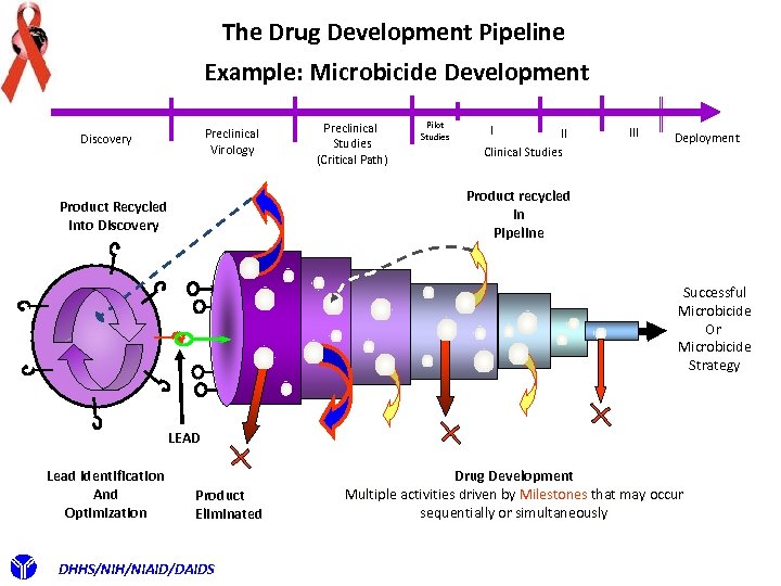 The Drug Development Pipeline Example: Microbicide Development Preclinical Virology Discovery Preclinical Studies (Critical Path)