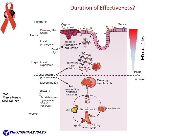 Microbicides Duration of Effectiveness? Point of no return? Haase Nature Reviews 2010 464: 217