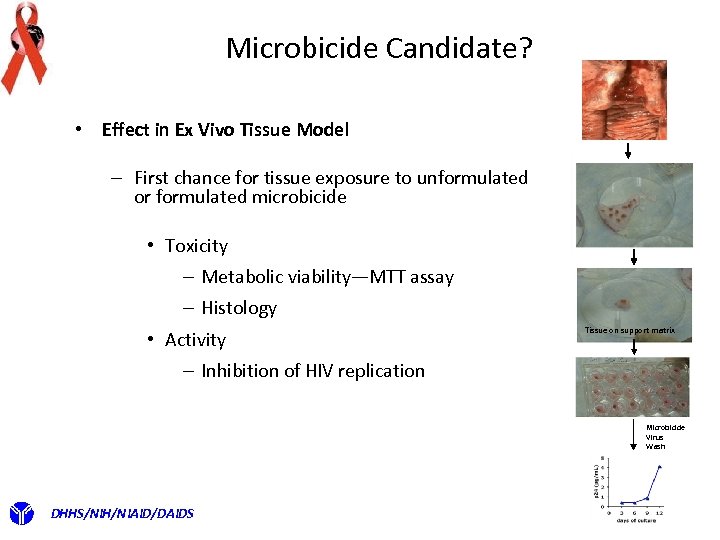 Microbicide Candidate? • Effect in Ex Vivo Tissue Model – First chance for tissue