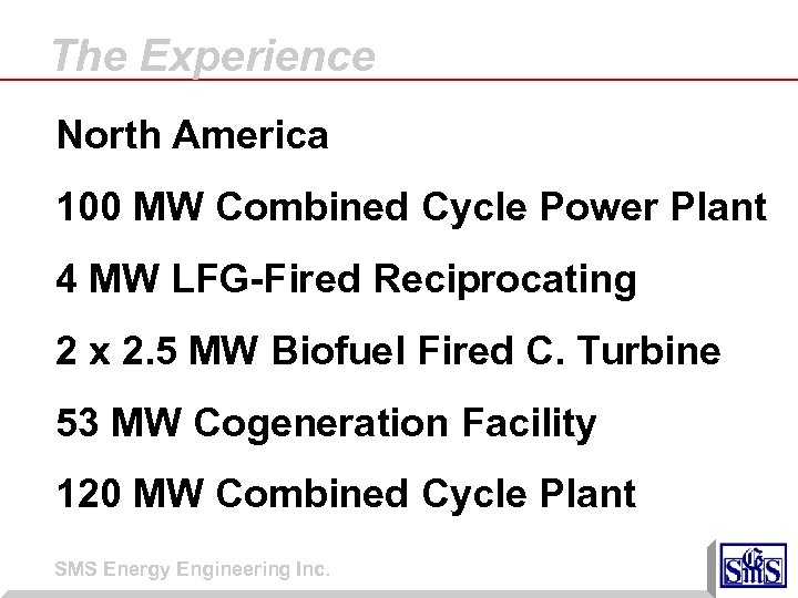 The Experience North America 100 MW Combined Cycle Power Plant 4 MW LFG-Fired Reciprocating