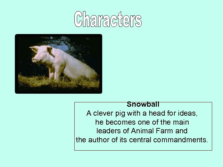  Snowball A clever pig with a head for ideas, he becomes one of