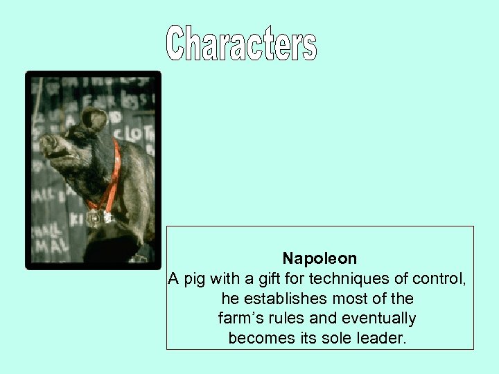  Napoleon A pig with a gift for techniques of control, he establishes most